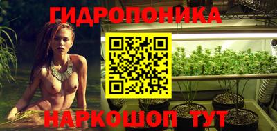 a pvp Краснознаменск
